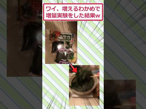 【動画】ワイ、増えるわかめで増量実験をした結果ww