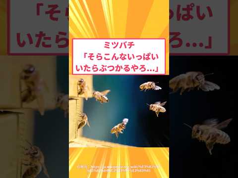 【衝撃】ミツバチ「そらこんないっぱいいたらぶつかるやろ…」