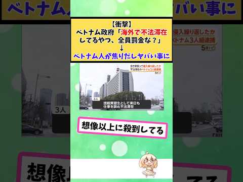 【仰天】ベトナム政府「海外で不法滞在してるやつ、全員罰金な?」→結果