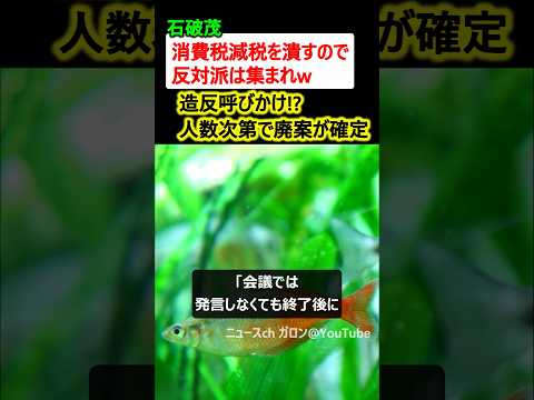 【衝撃】石破茂、消費税減税を潰すため反対派へ造反呼びかけ→人数次第で廃案確定!?