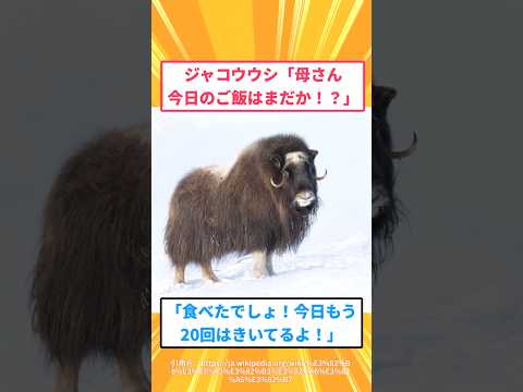 【マジかよ】ジャコウウシ「母さん今日のご飯はまだか!?」