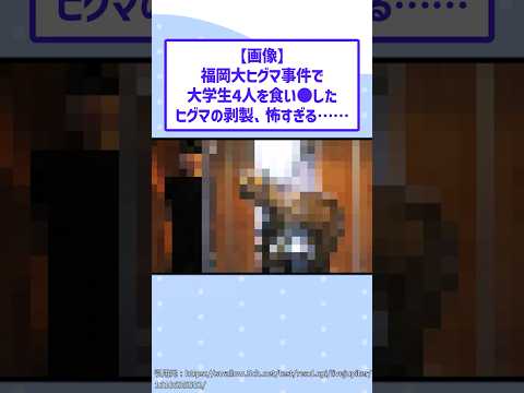 【驚愕】福岡大ヒグマ事件で大学生4人を襲ったヒグマの剥製が怖すぎる……