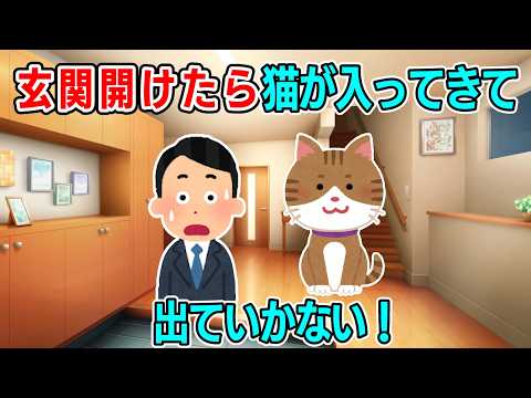 【驚愕】玄関開けたら猫が入ってきて出ていかない⋯結果!