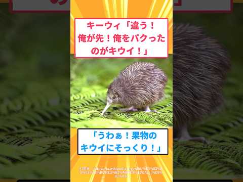 キーウィとキウイフルーツ、名前が似てるだけで話が壮大すぎるｗｗｗ