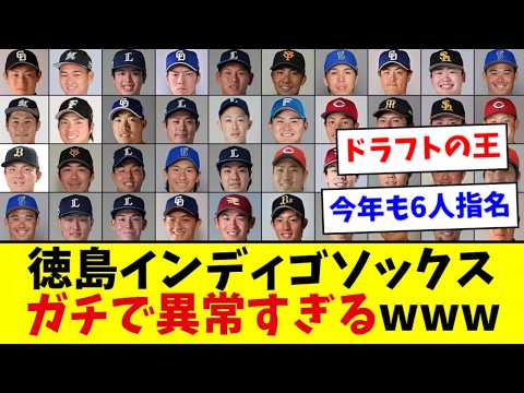 徳島インディゴソックス、NPBへの道を作り続けている模様